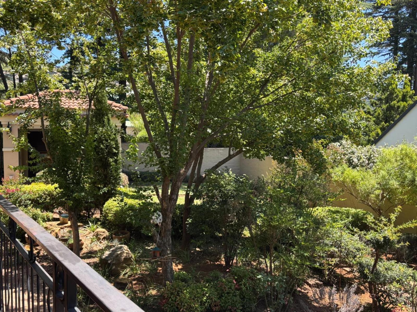 Butterfly Villa Clarens
